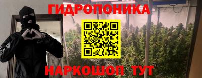 прущие грибы Кунгур