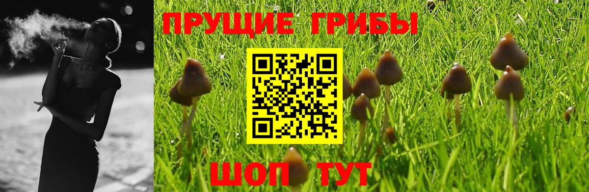 Великий Новгород  купить  сайты  Вход с VPN  Галлюциногенные грибы Psilocybine cubensis 