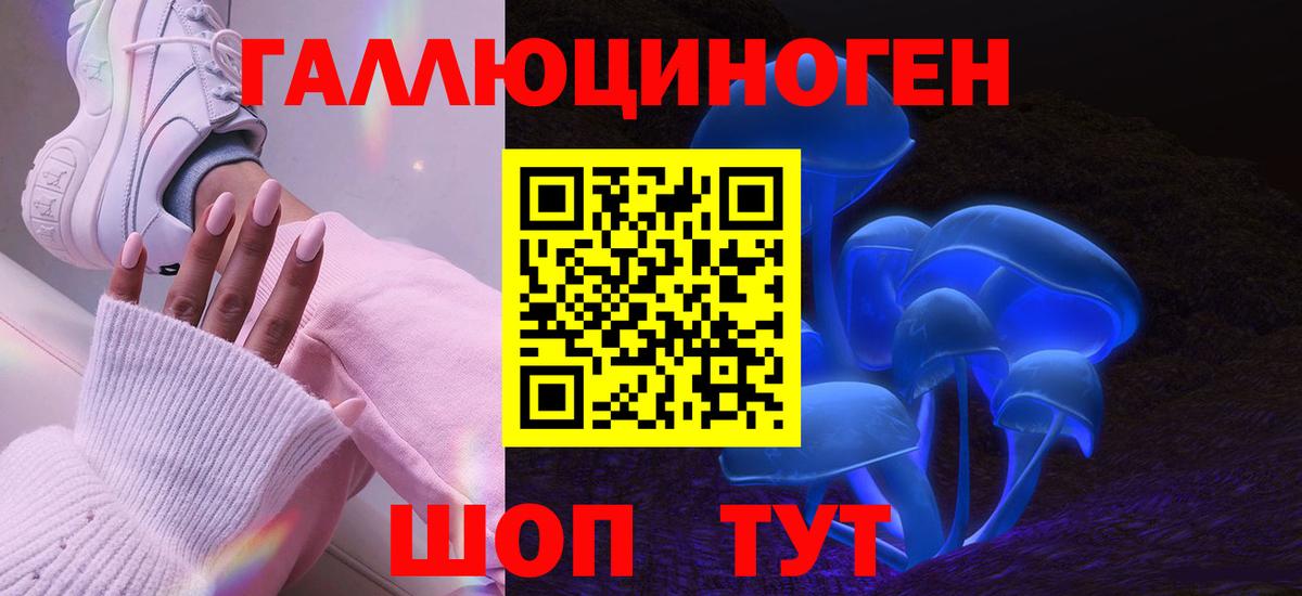 Псилоцибиновые грибы GOLDEN TEACHER Великий Новгород